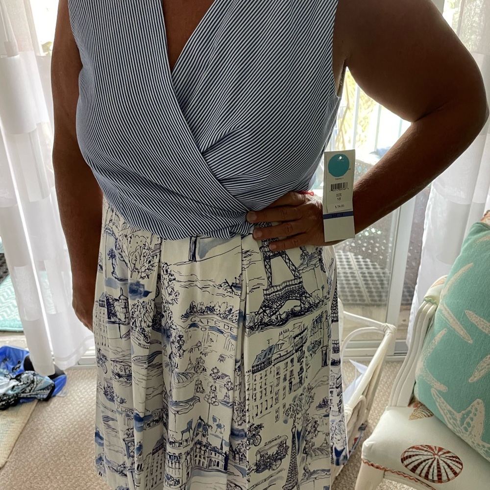 Adorable spring dress NWT size 18 zipper back pint strip with Paris seen skirt